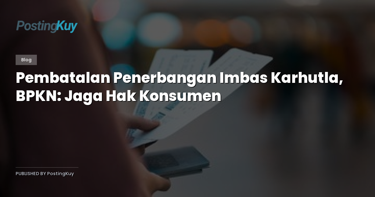 Pembatalan Penerbangan Imbas Karhutla, BPKN: Jaga Hak Konsumen