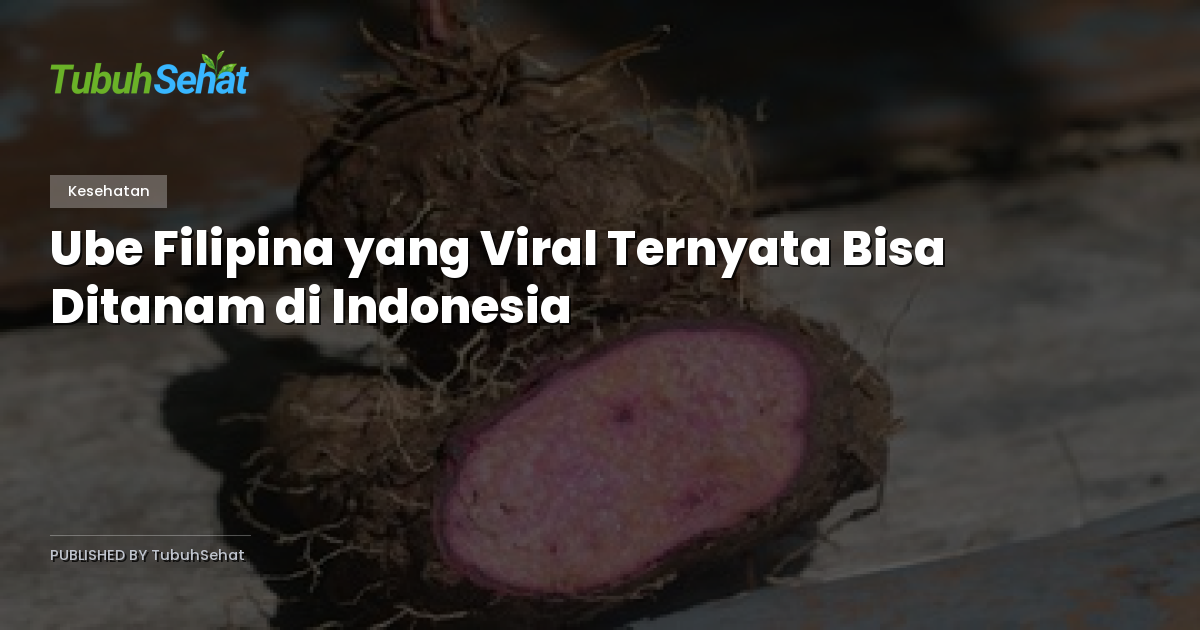 Ube Filipina yang Viral Ternyata Bisa Ditanam di Indonesia
