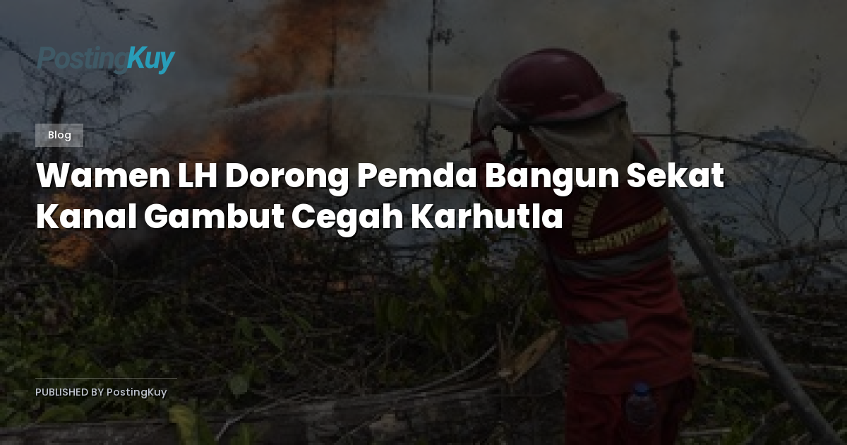 Wamen LH Dorong Pemda Bangun Sekat Kanal Gambut Cegah Karhutla