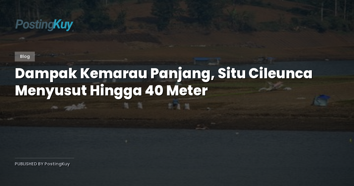 Dampak Kemarau Panjang, Situ Cileunca Menyusut Hingga 40 Meter