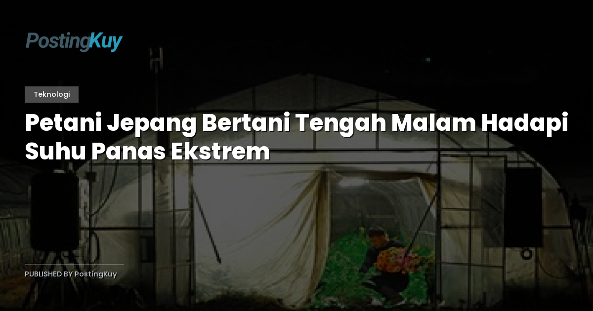 Petani Jepang Bertani Tengah Malam Hadapi Suhu Panas Ekstrem