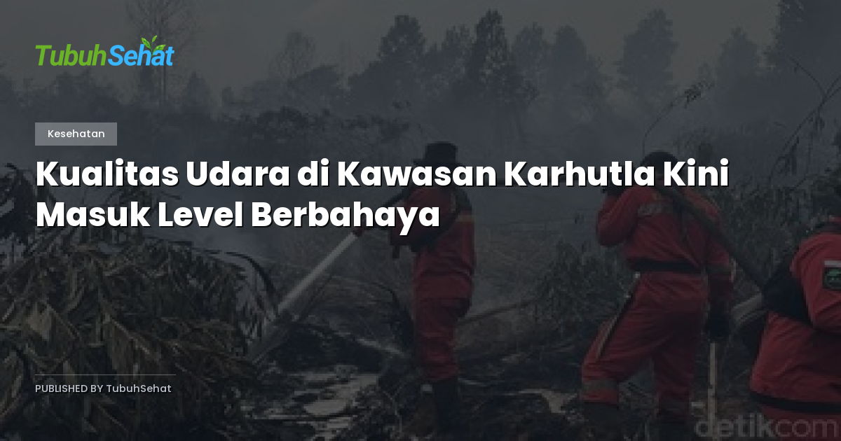 Kualitas Udara di Kawasan Karhutla Kini Masuk Level Berbahaya