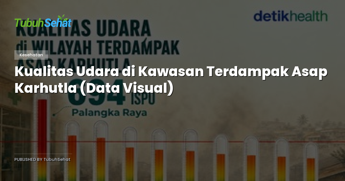Kualitas Udara di Kawasan Terdampak Asap Karhutla (Data Visual)