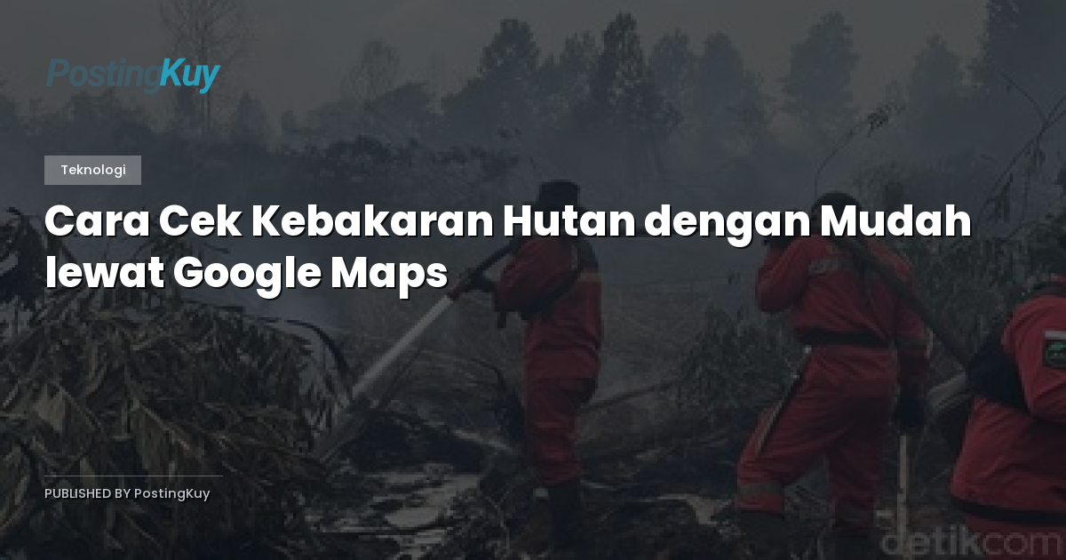 Cara Cek Kebakaran Hutan dengan Mudah lewat Google Maps