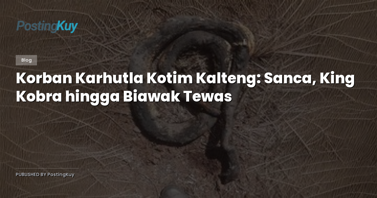 Korban Karhutla Kotim Kalteng: Sanca, King Kobra hingga Biawak Tewas