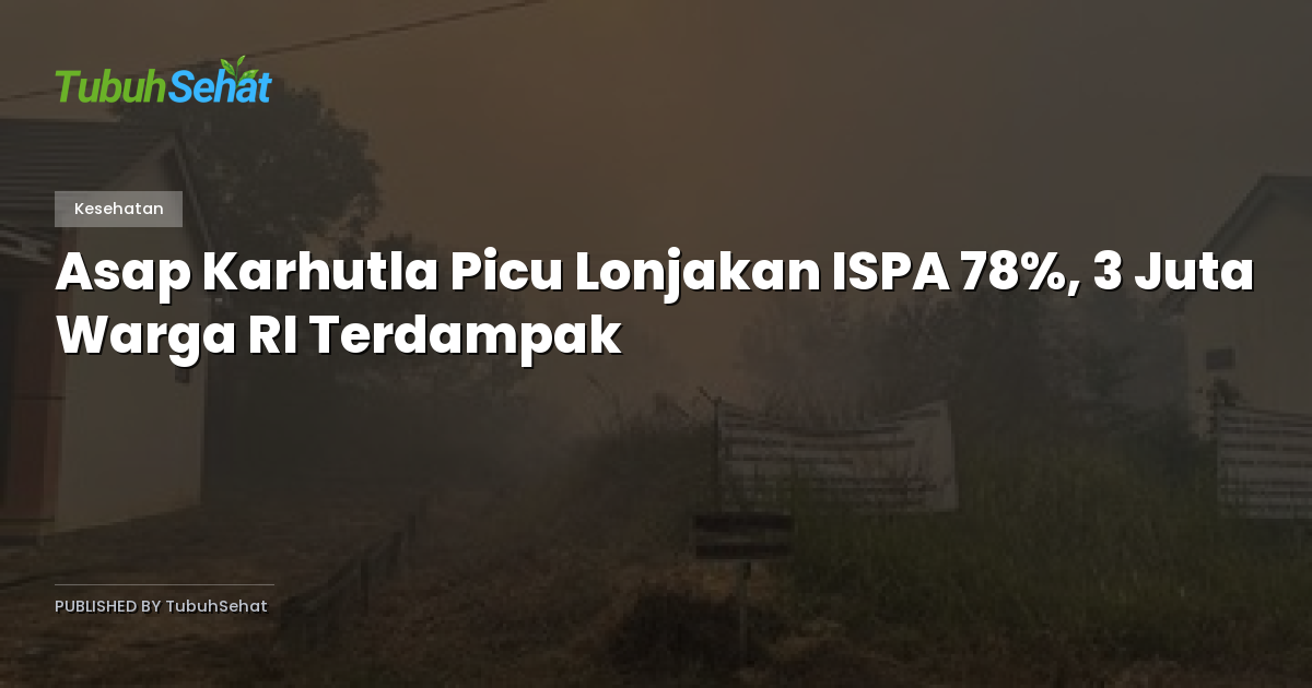 Asap Karhutla Picu Lonjakan ISPA 78%, 3 Juta Warga RI Terdampak