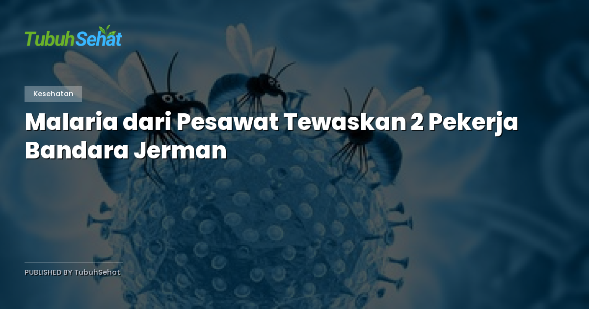 Malaria dari Pesawat Tewaskan 2 Pekerja Bandara Jerman