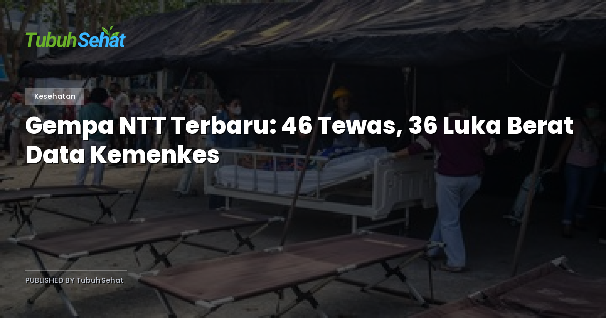 Gempa NTT Terbaru: 46 Tewas, 36 Luka Berat Data Kemenkes