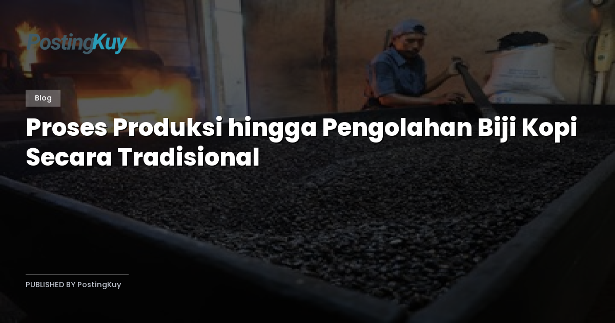 Proses Produksi hingga Pengolahan Biji Kopi Secara Tradisional