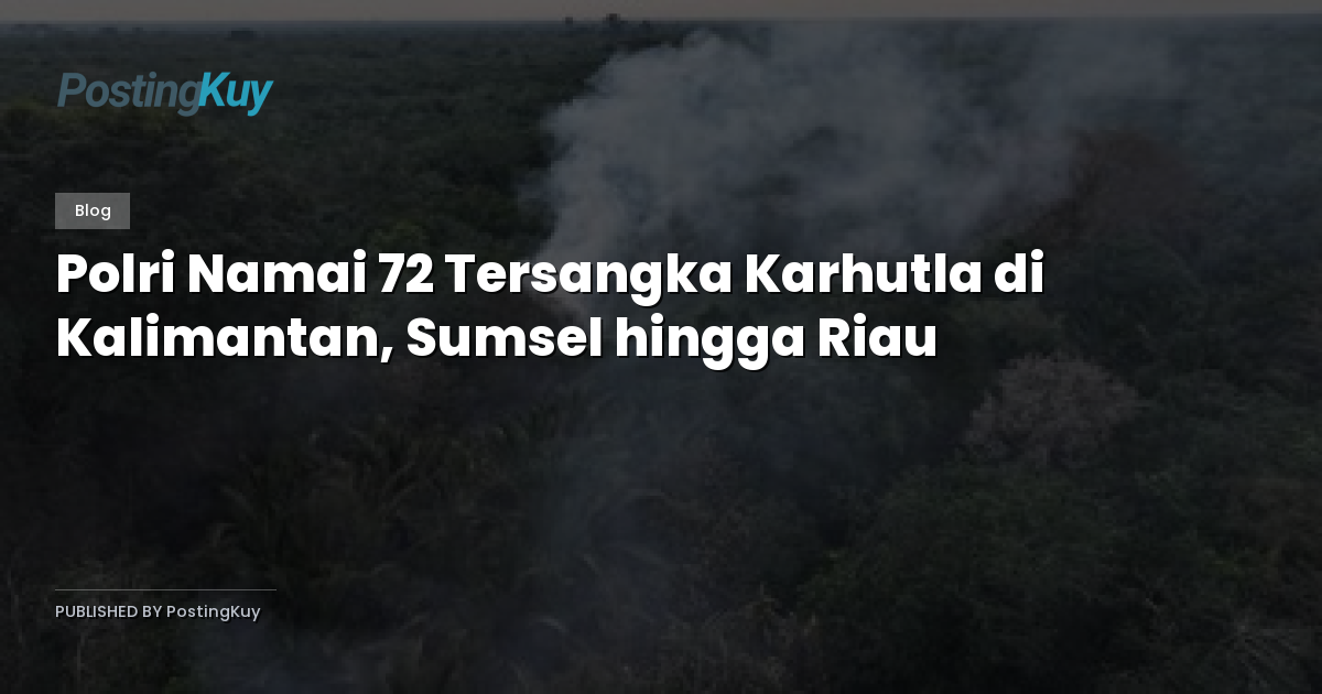 Polri Namai 72 Tersangka Karhutla di Kalimantan, Sumsel hingga Riau
