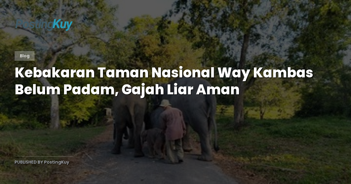 Kebakaran Taman Nasional Way Kambas Belum Padam, Gajah Liar Aman