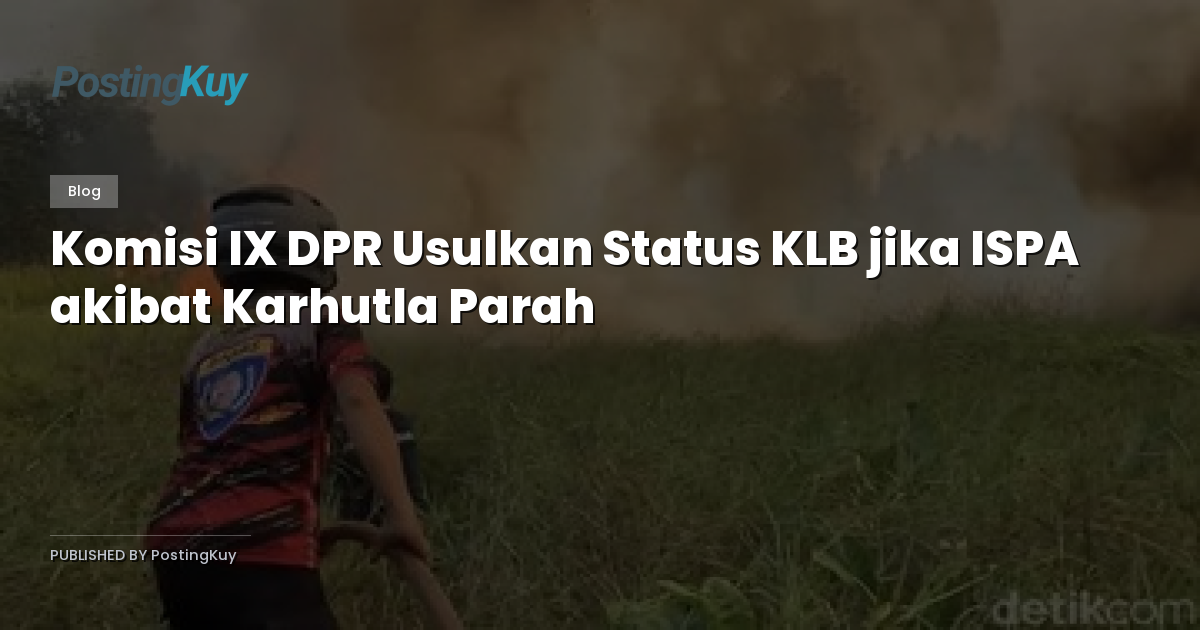 Komisi IX DPR Usulkan Status KLB jika ISPA akibat Karhutla Parah