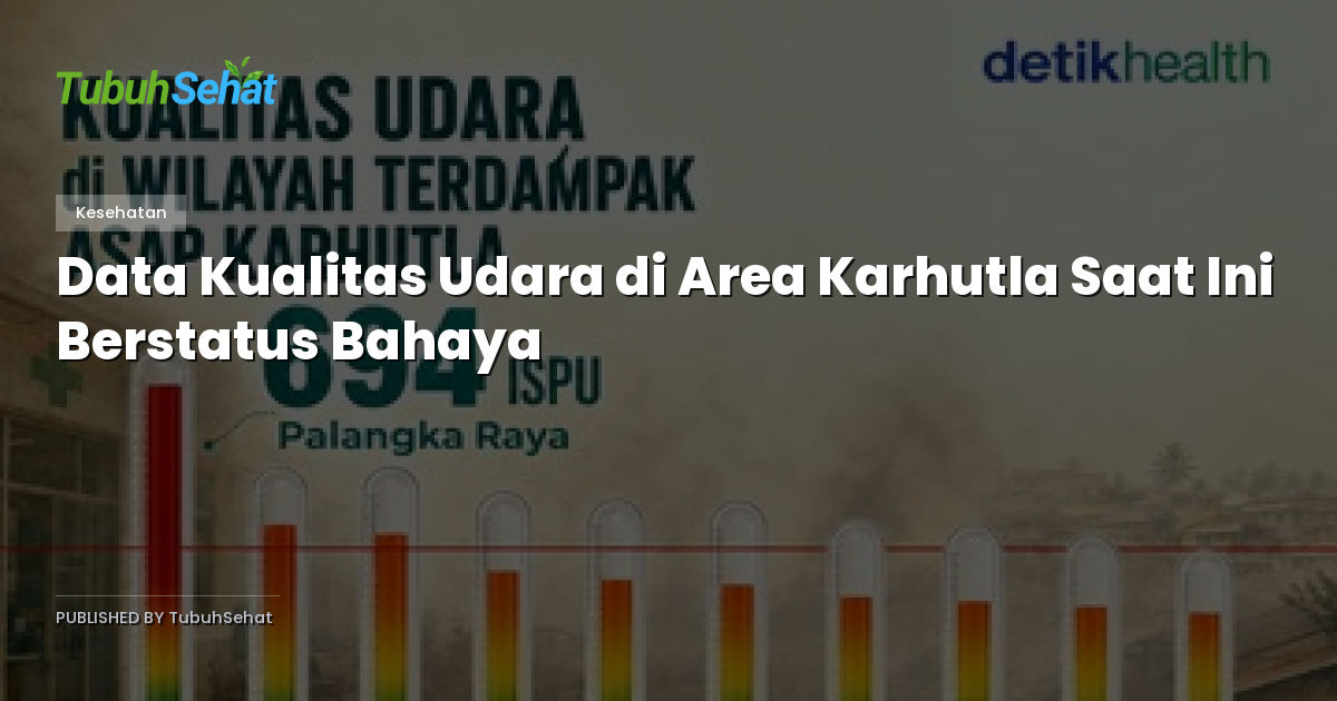 Data Kualitas Udara di Area Karhutla Saat Ini Berstatus Bahaya
