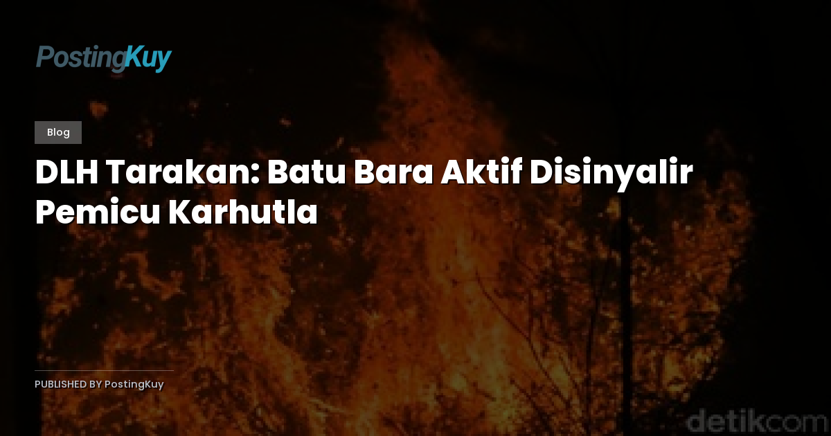 DLH Tarakan: Batu Bara Aktif Disinyalir Pemicu Karhutla