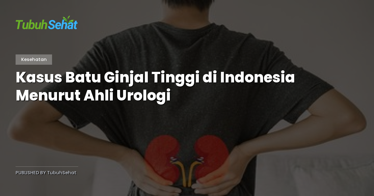 Kasus Batu Ginjal Tinggi di Indonesia Menurut Ahli Urologi
