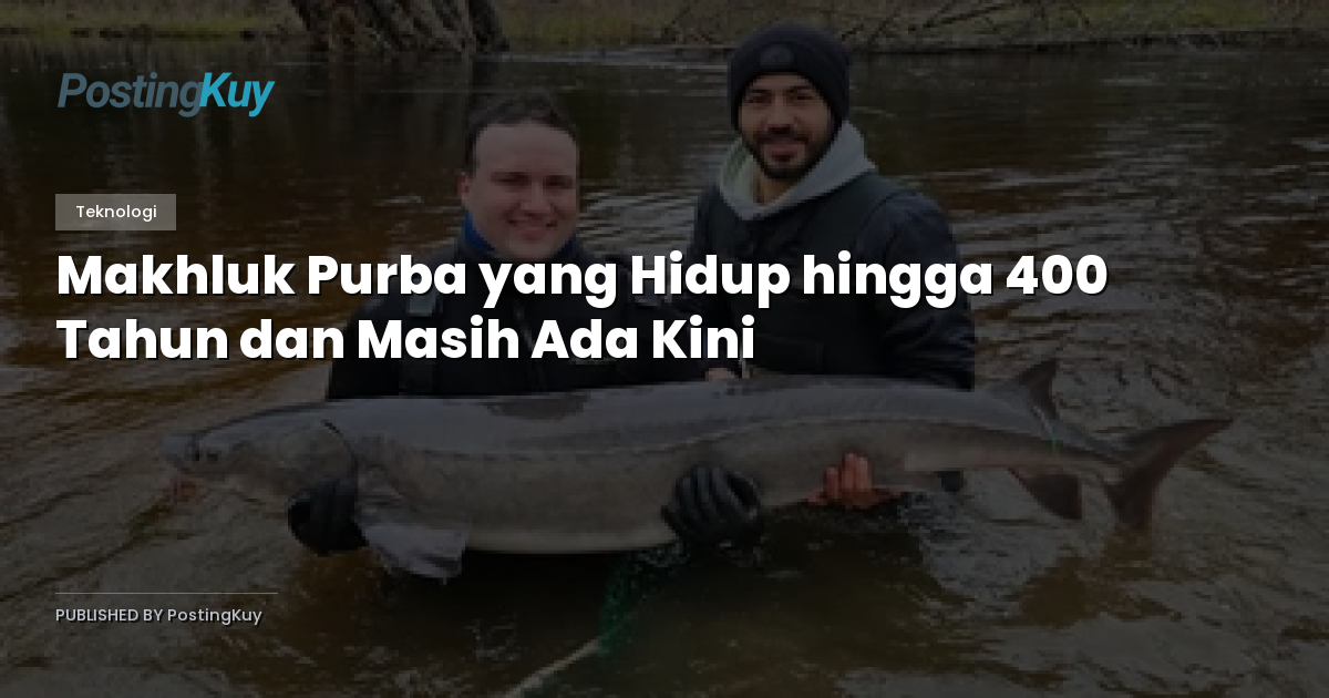Makhluk Purba yang Hidup hingga 400 Tahun dan Masih Ada Kini