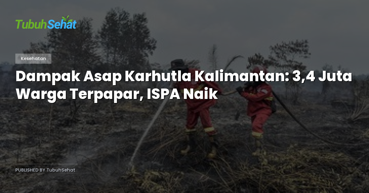 Dampak Asap Karhutla Kalimantan: 3,4 Juta Warga Terpapar, ISPA Naik