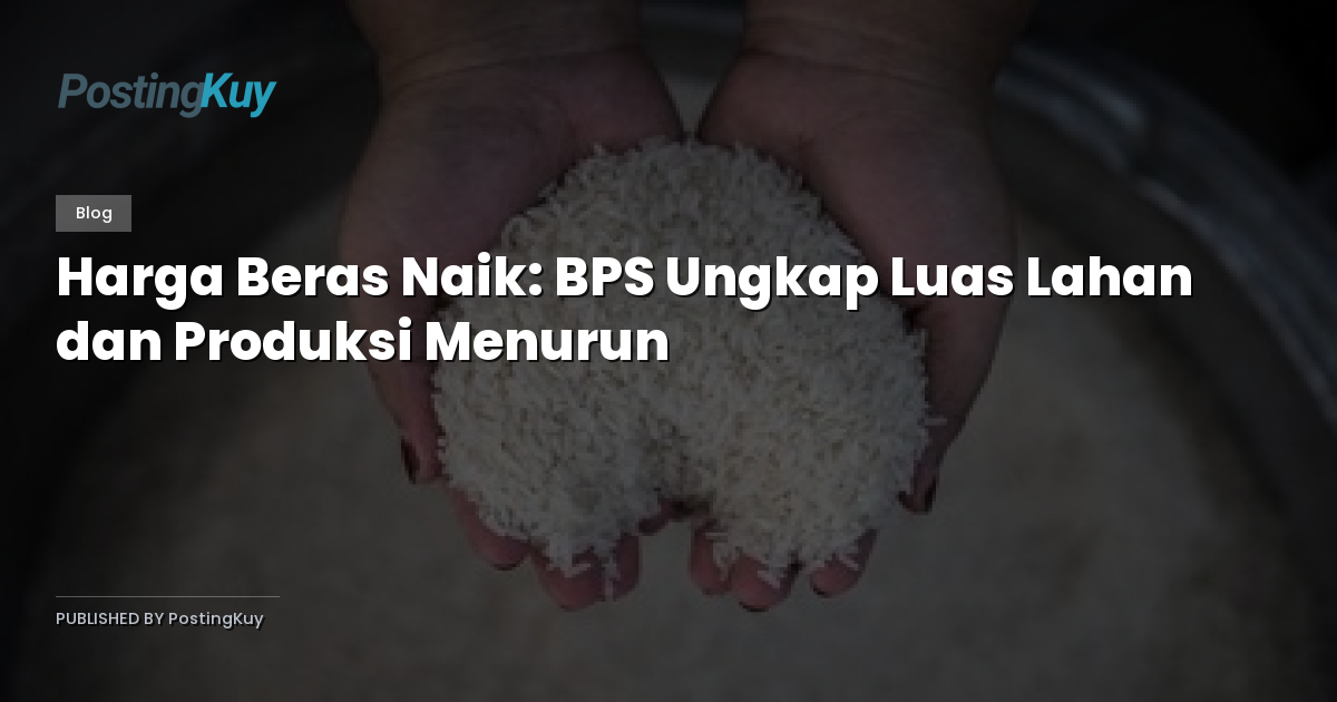 Harga Beras Naik: BPS Ungkap Luas Lahan dan Produksi Menurun