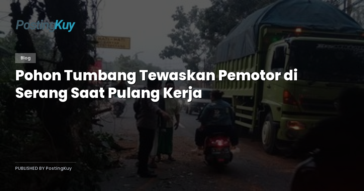 Pohon Tumbang Tewaskan Pemotor di Serang Saat Pulang Kerja
