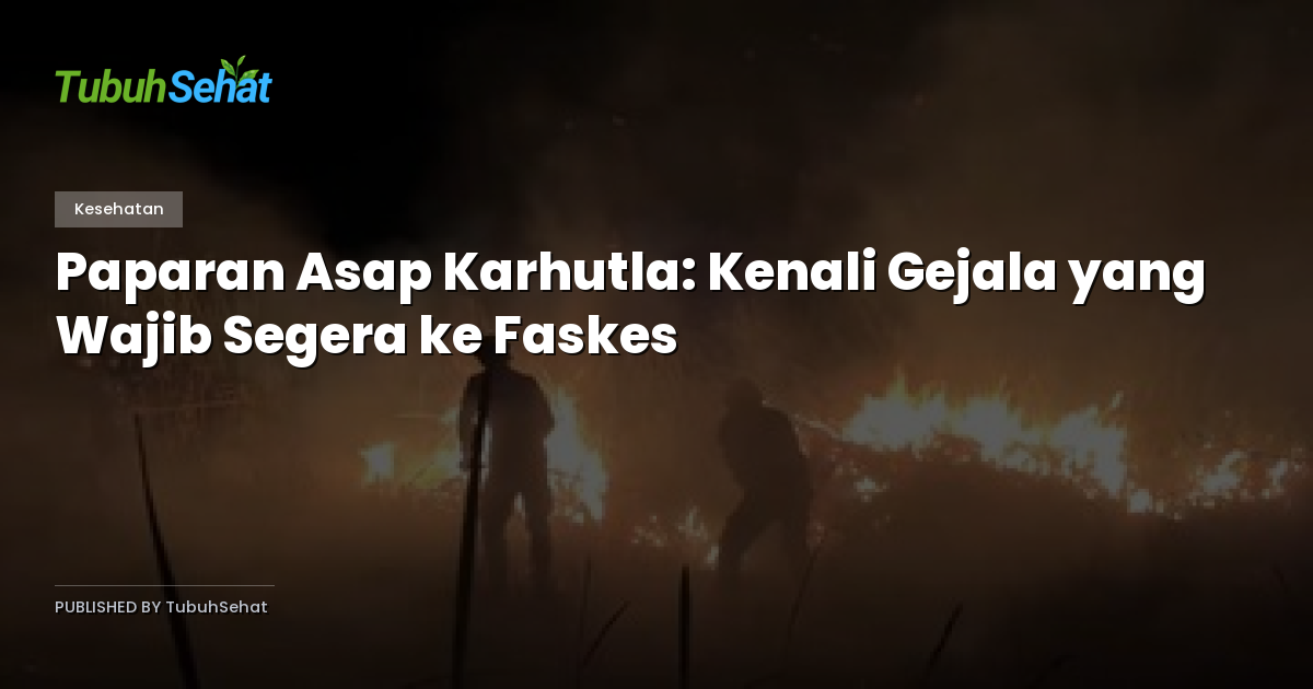 Paparan Asap Karhutla: Kenali Gejala yang Wajib Segera ke Faskes