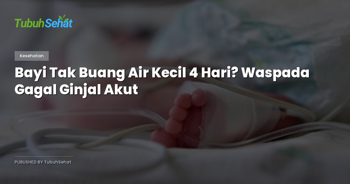 Bayi Tak Buang Air Kecil 4 Hari? Waspada Gagal Ginjal Akut