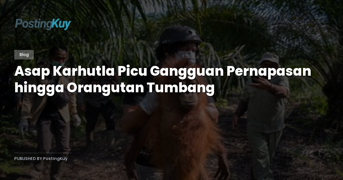 Asap Karhutla Picu Gangguan Pernapasan hingga Orangutan Tumbang