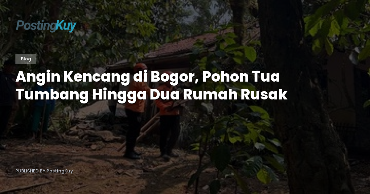 Angin Kencang di Bogor, Pohon Tua Tumbang Hingga Dua Rumah Rusak