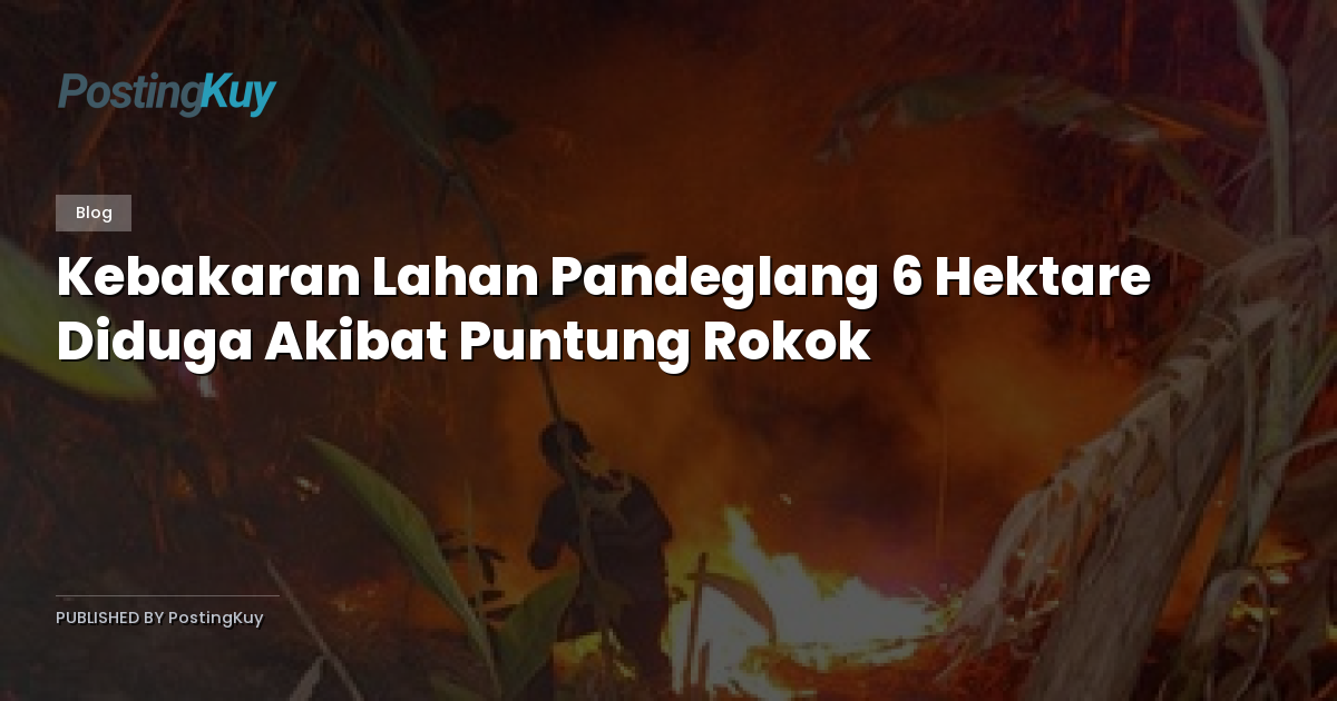 Kebakaran Lahan Pandeglang 6 Hektare Diduga Akibat Puntung Rokok