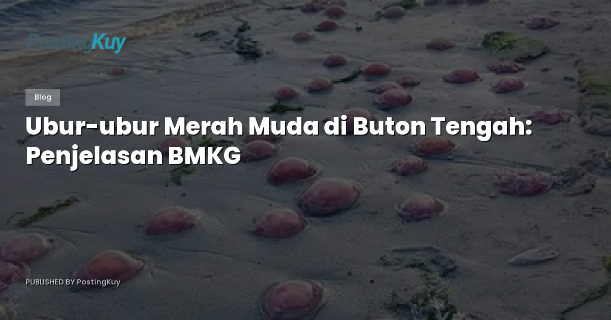 Ubur-ubur Merah Muda di Buton Tengah: Penjelasan BMKG