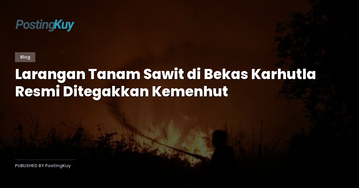 Larangan Tanam Sawit di Bekas Karhutla Resmi Ditegakkan Kemenhut