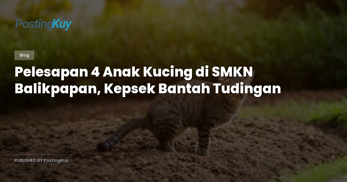 Pelesapan 4 Anak Kucing di SMKN Balikpapan, Kepsek Bantah Tudingan