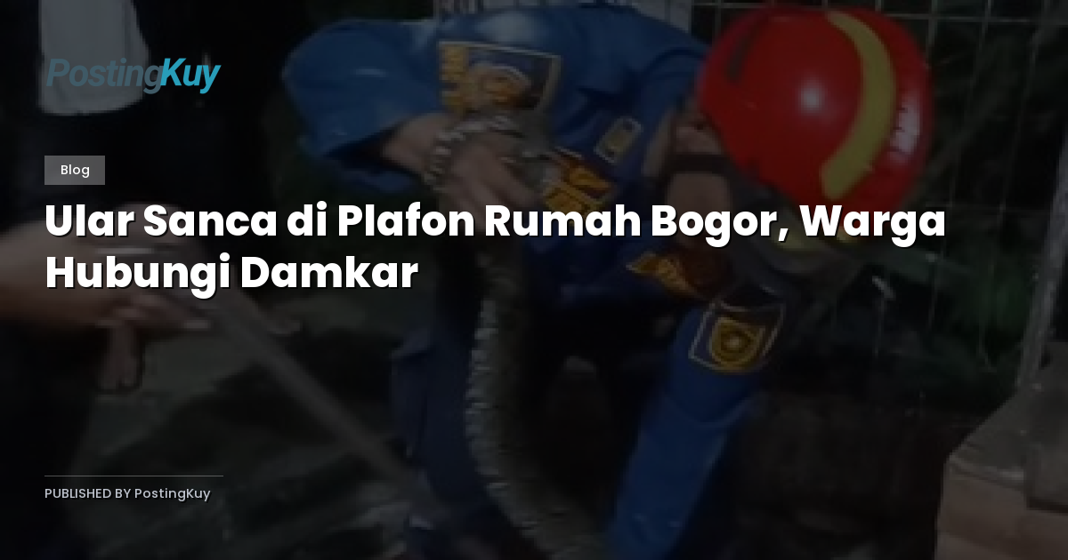 Ular Sanca di Plafon Rumah Bogor, Warga Hubungi Damkar