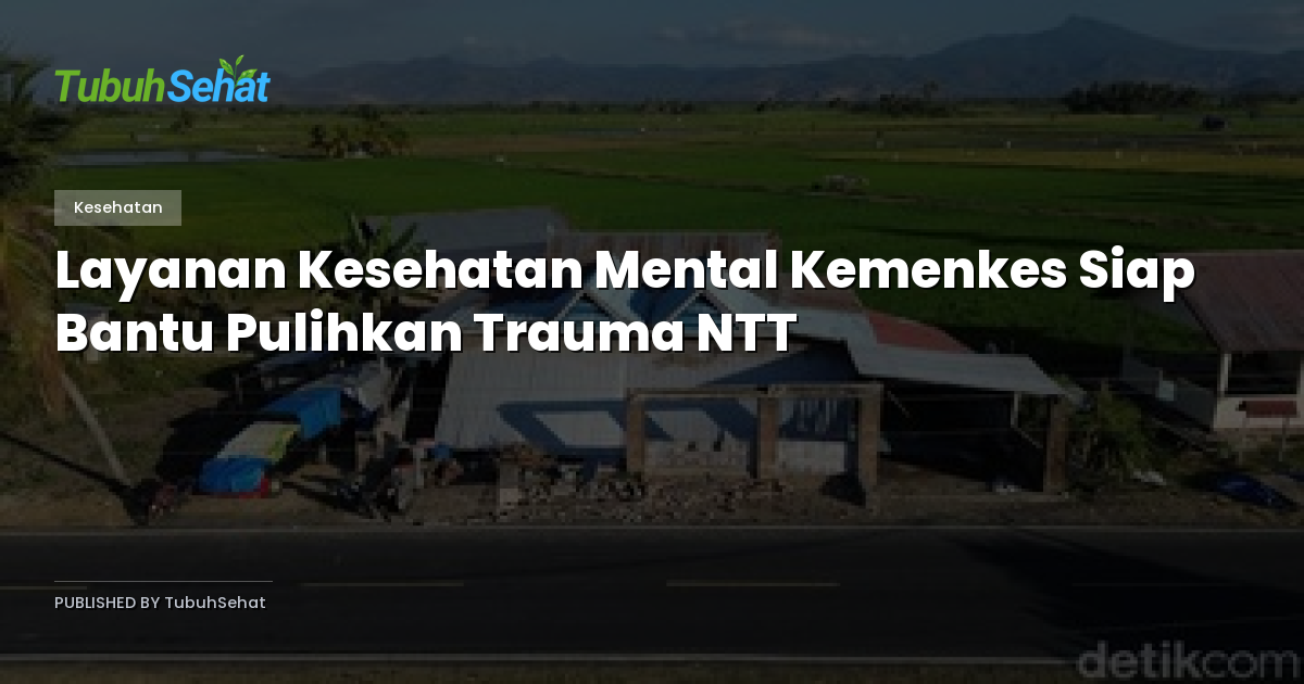 Layanan Kesehatan Mental Kemenkes Siap Bantu Pulihkan Trauma NTT