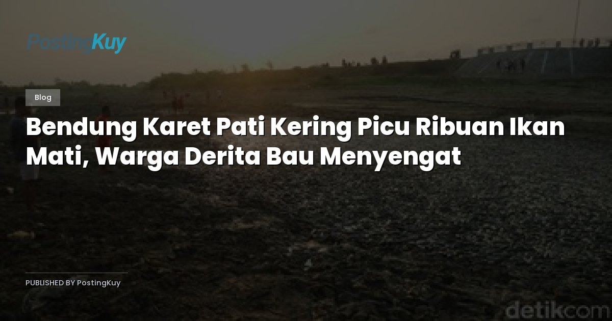 Bendung Karet Pati Kering Picu Ribuan Ikan Mati, Warga Derita Bau Menyengat