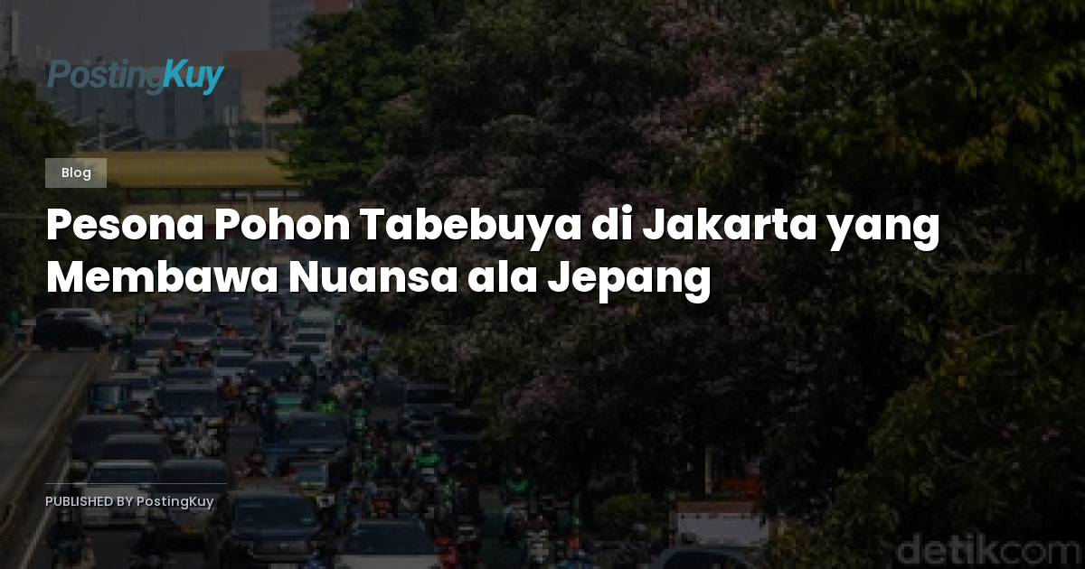 Pesona Pohon Tabebuya di Jakarta yang Membawa Nuansa ala Jepang