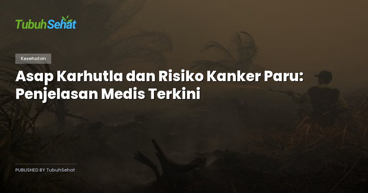 Asap Karhutla dan Risiko Kanker Paru: Penjelasan Medis Terkini