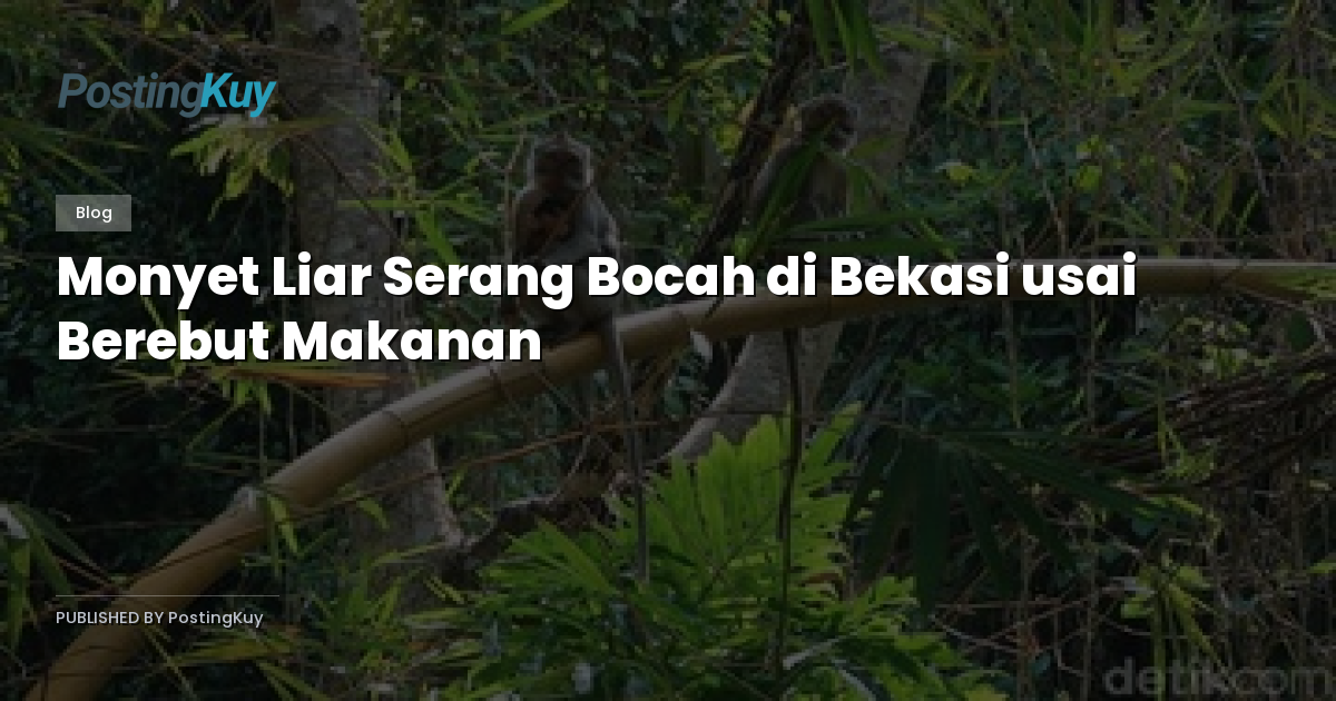 Monyet Liar Serang Bocah di Bekasi usai Berebut Makanan