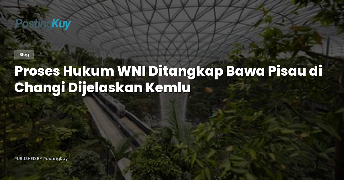 Proses Hukum WNI Ditangkap Bawa Pisau di Changi Dijelaskan Kemlu