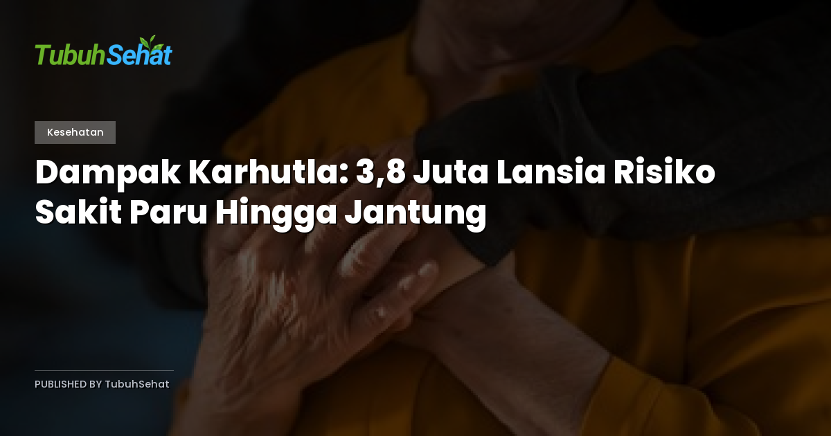 Dampak Karhutla: 3,8 Juta Lansia Risiko Sakit Paru Hingga Jantung