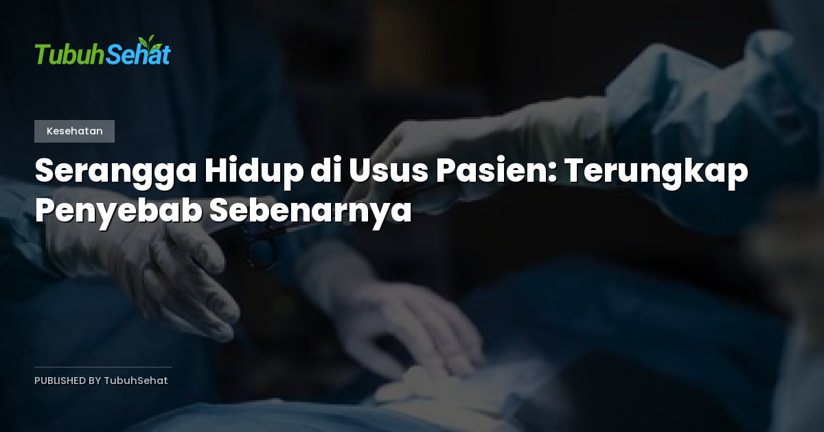 Serangga Hidup di Usus Pasien: Terungkap Penyebab Sebenarnya