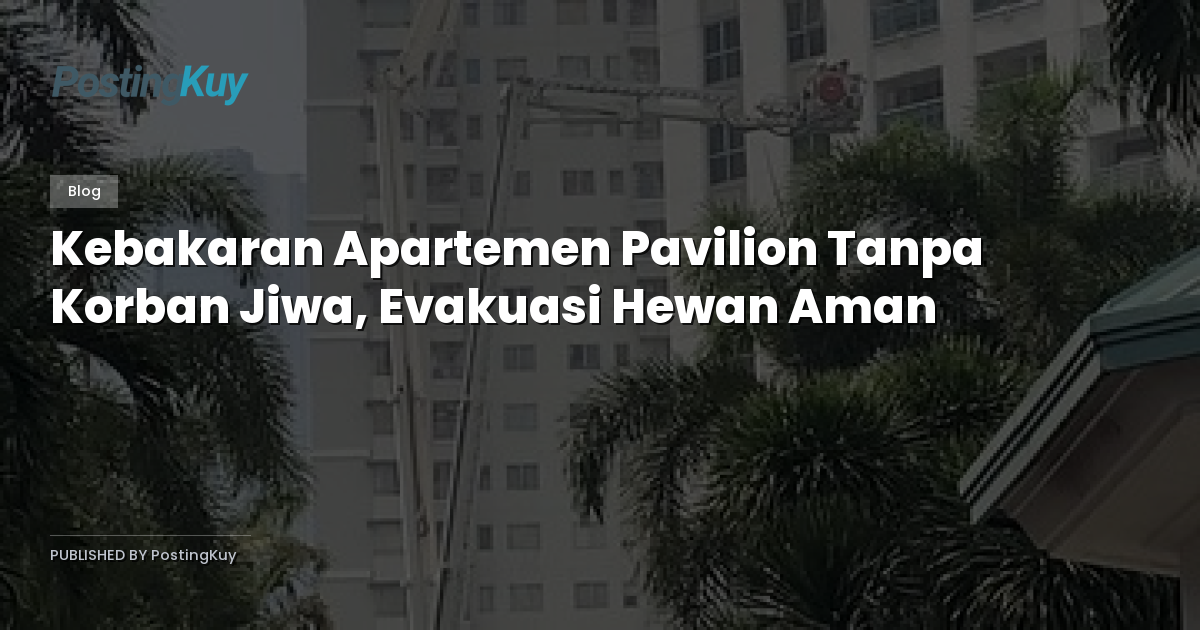 Kebakaran Apartemen Pavilion Tanpa Korban Jiwa, Evakuasi Hewan Aman
