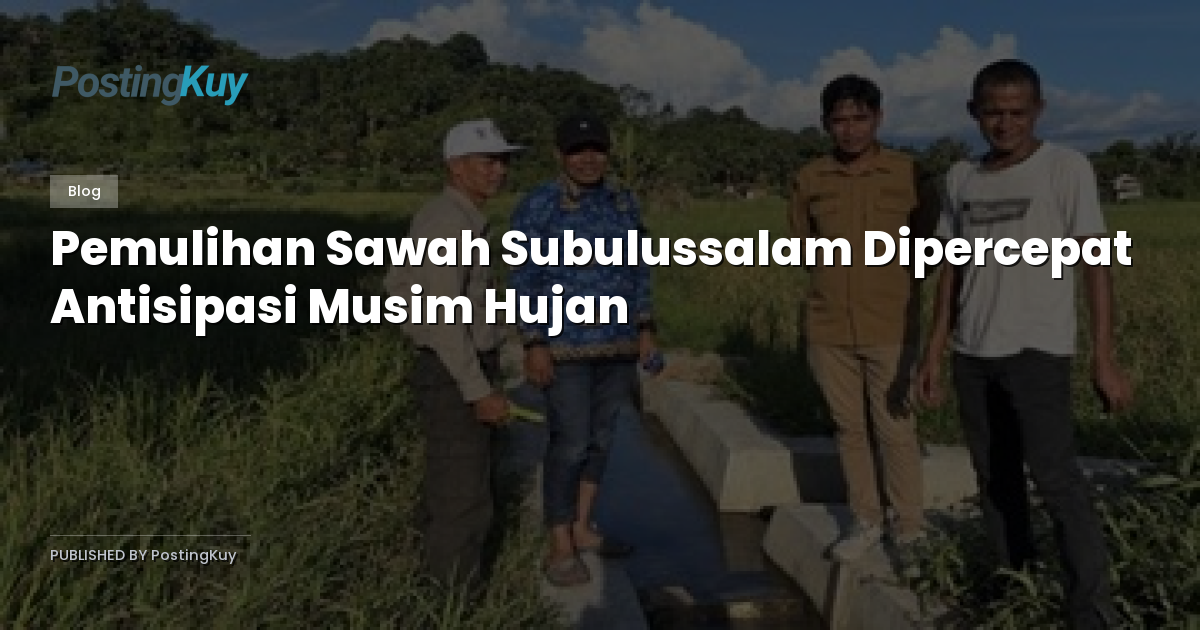 Pemulihan Sawah Subulussalam Dipercepat Antisipasi Musim Hujan