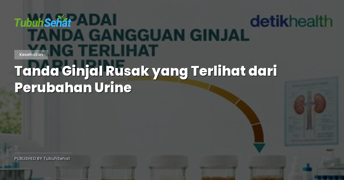 Tanda Ginjal Rusak yang Terlihat dari Perubahan Urine