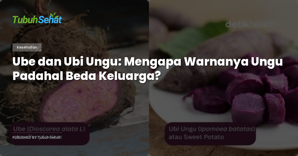 Ube dan Ubi Ungu: Mengapa Warnanya Ungu Padahal Beda Keluarga?