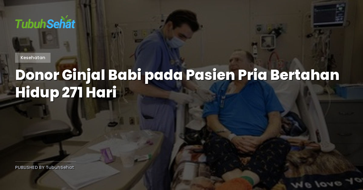 Donor Ginjal Babi pada Pasien Pria Bertahan Hidup 271 Hari