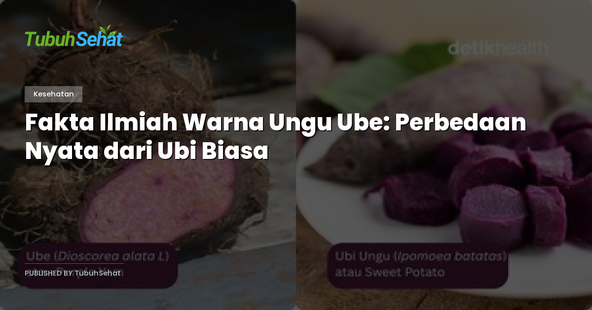 Fakta Ilmiah Warna Ungu Ube: Perbedaan Nyata dari Ubi Biasa