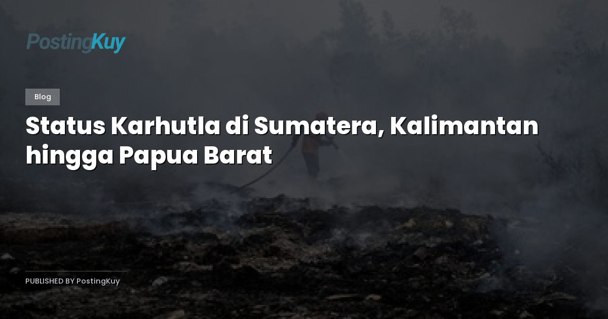 Status Karhutla di Sumatera, Kalimantan hingga Papua Barat