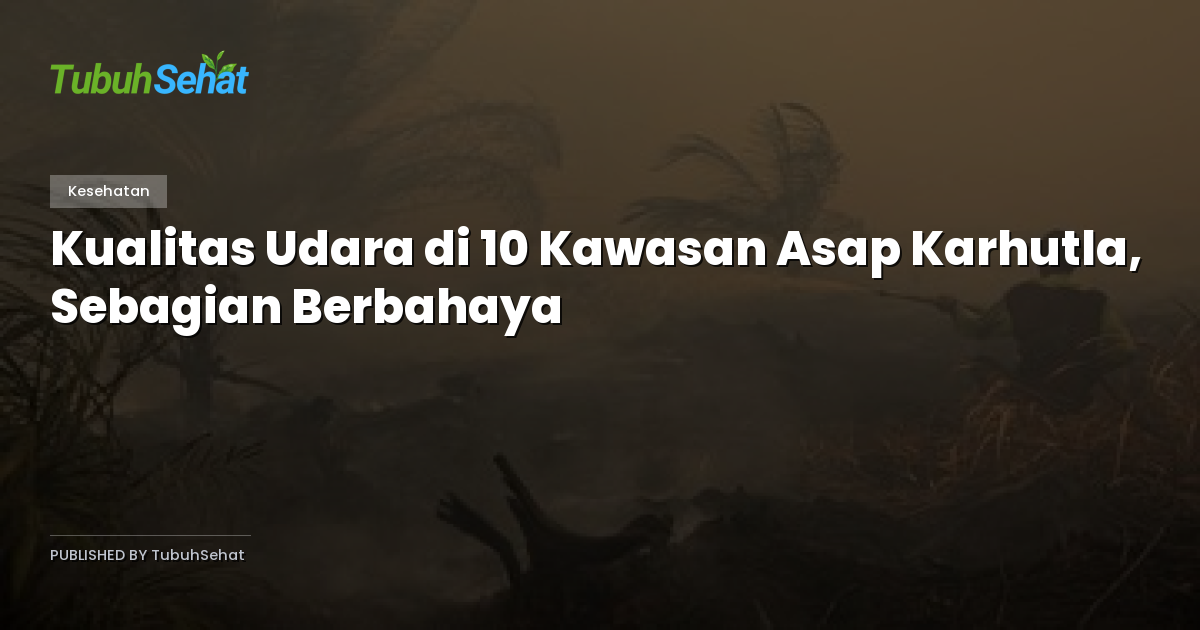 Kualitas Udara di 10 Kawasan Asap Karhutla, Sebagian Berbahaya
