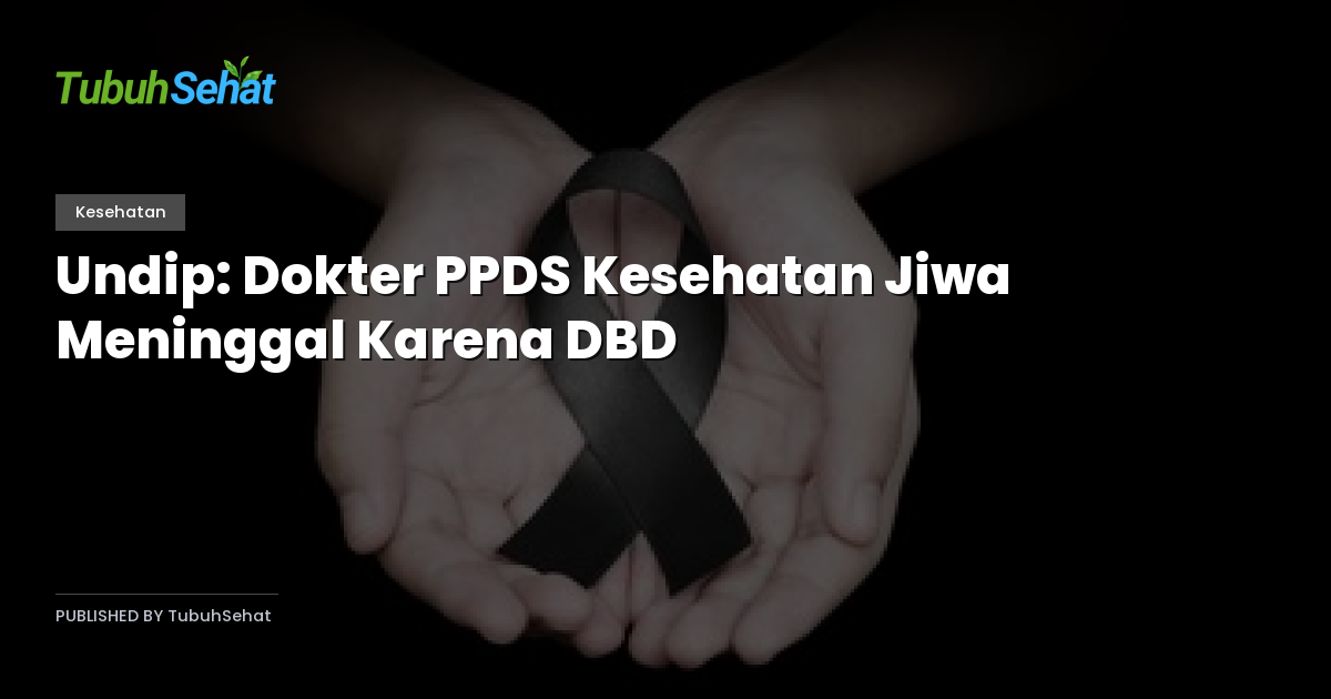 Undip: Dokter PPDS Kesehatan Jiwa Meninggal Karena DBD