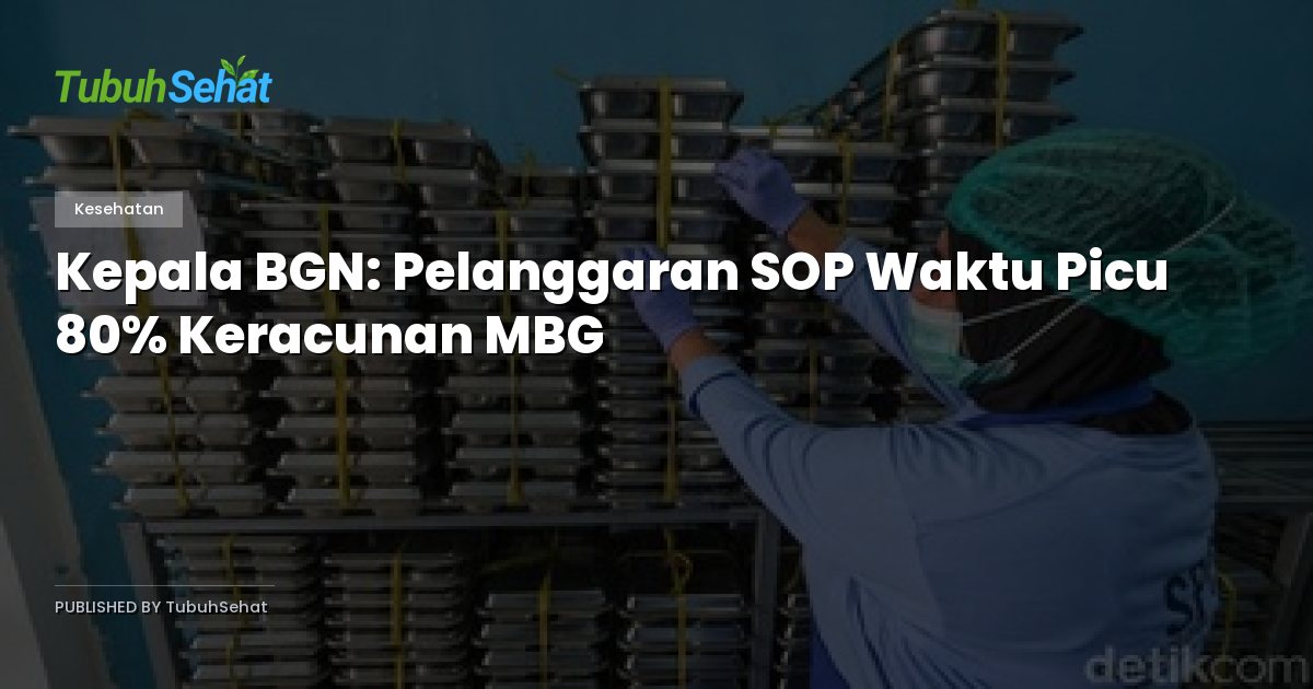 Kepala BGN: Pelanggaran SOP Waktu Picu 80% Keracunan MBG